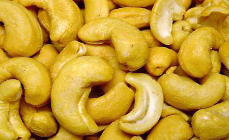 where do cashews grow