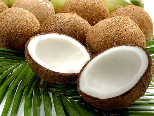 Coconut's