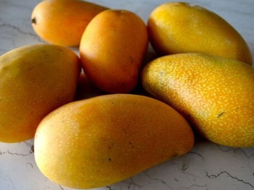 Lemon Zest Mango's